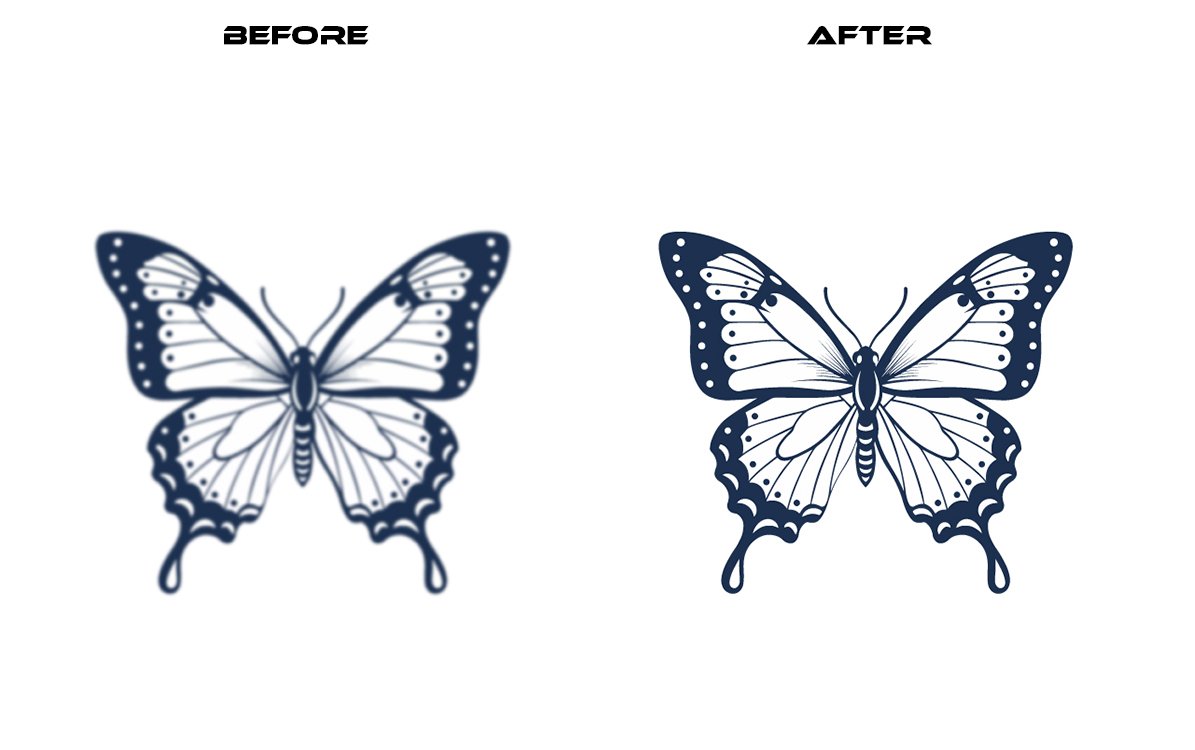 Butterfly-Raster-to-vector